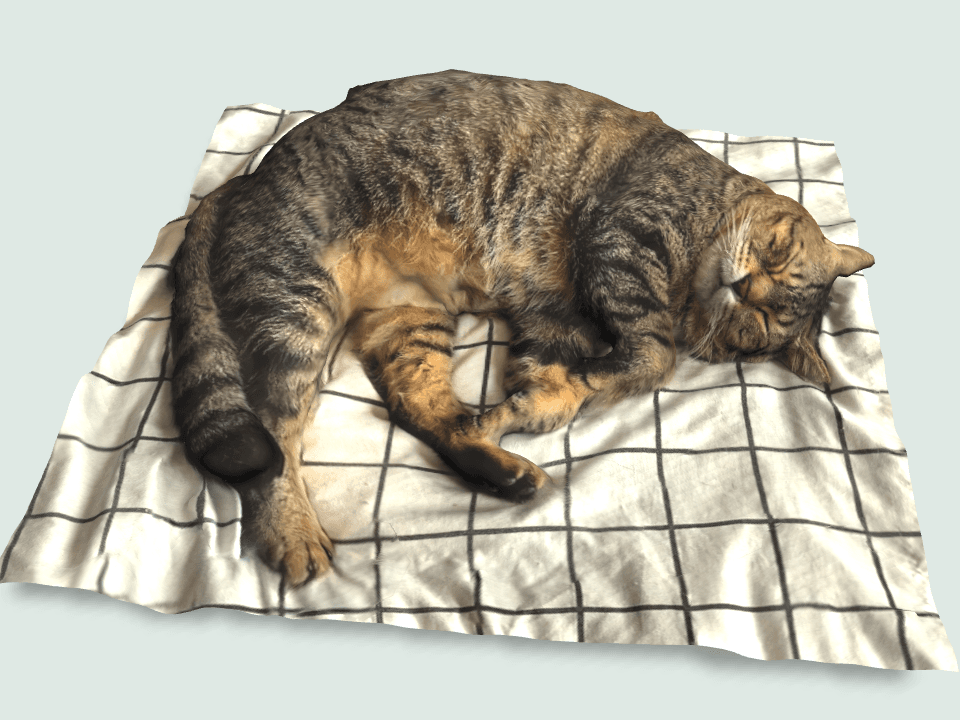睡觉的猫 3D 模型预览